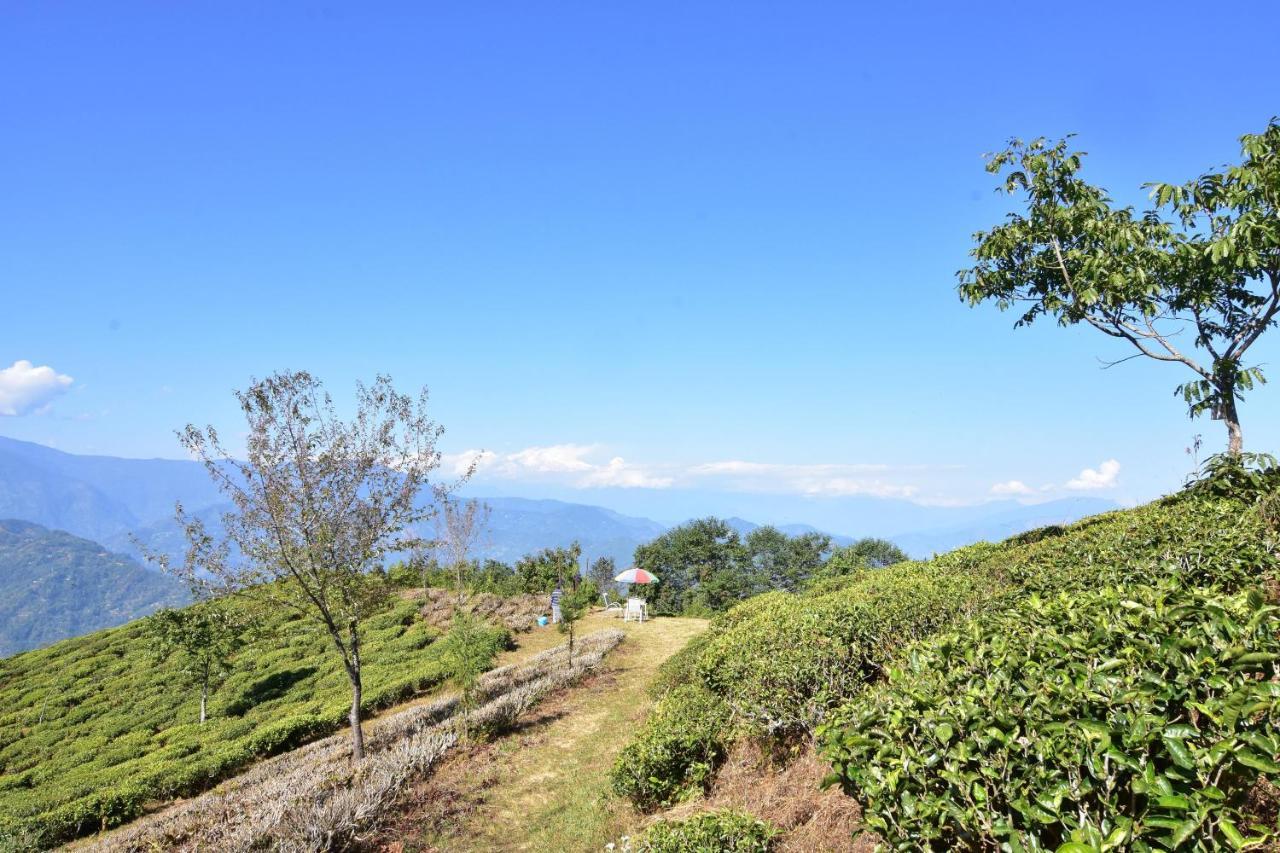 Singtom Tea Estate & Resort Darjeeling  Exterior foto