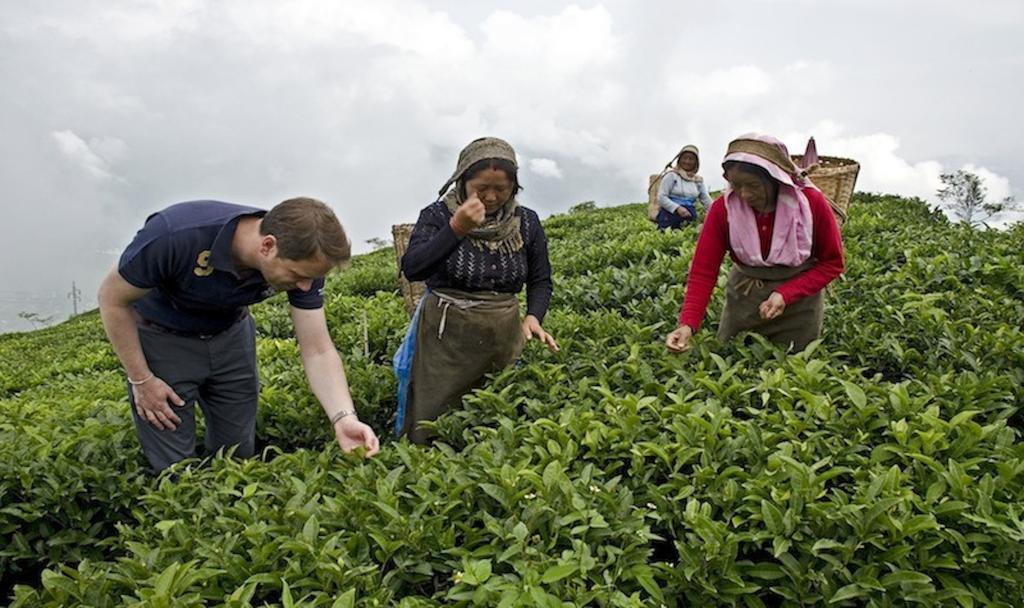 Singtom Tea Estate & Resort Darjeeling  Exterior foto